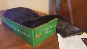 catbox