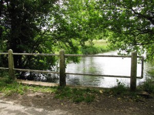 A favorite plot walk location